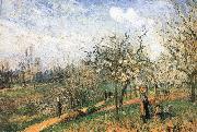 Camille Pissarro Pang map of apple Schwarz oil painting reproduction